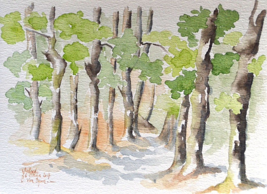 A l'aquarelle, un sentier s'enfonce de face dans un bois. On ne voit que la base des arbres, les troncs et quelques feuillages.