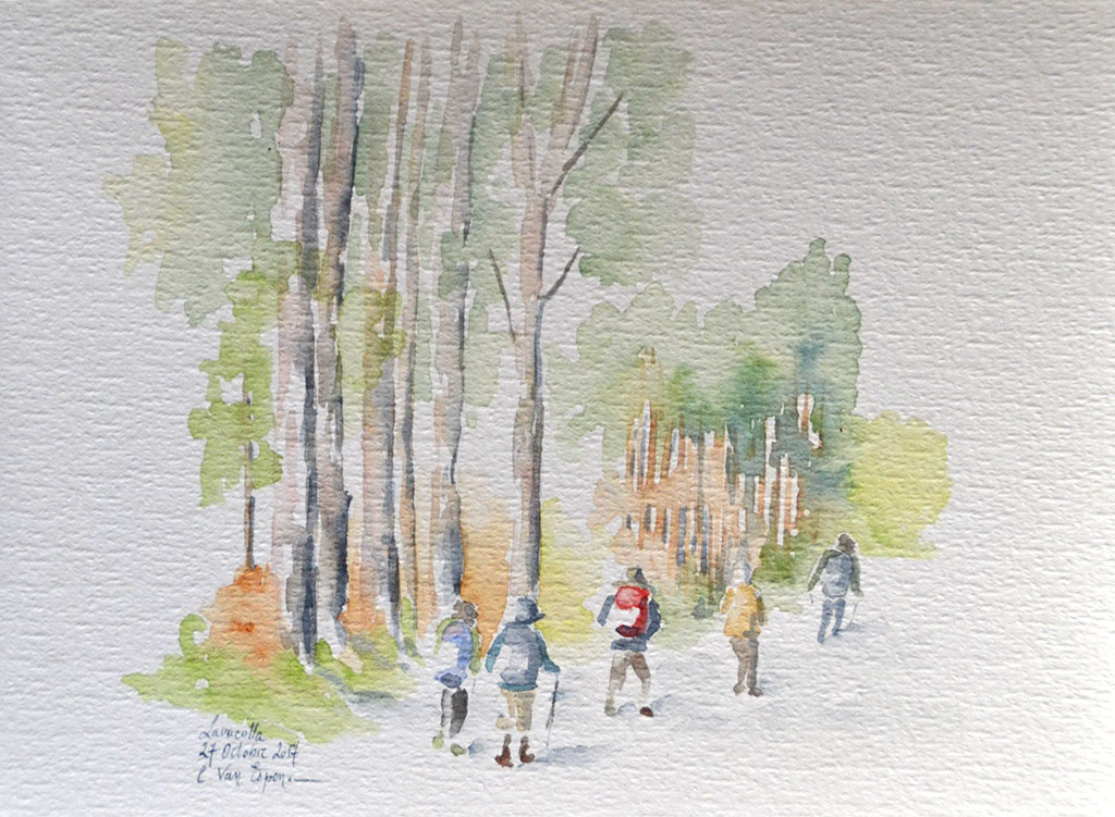 A l'aquarelle, cinq marcheurs de dos, à la file, avancent, le long d'une bordure d'eucalyptus