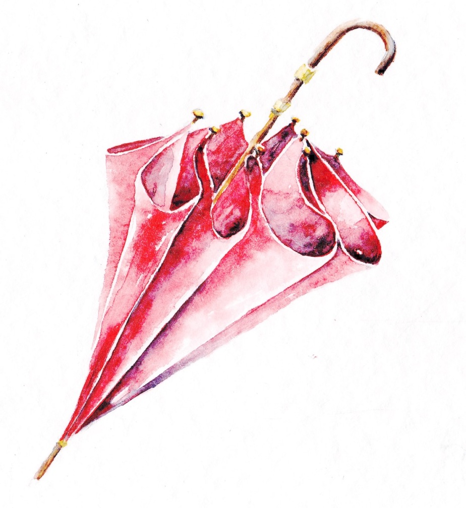 Peint à l'aquarelle, parapluie fermé dans les tonalités de rouge