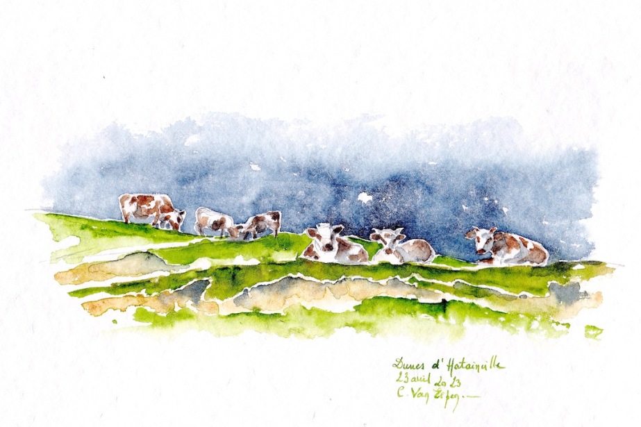 Des vaches normandes paissent sur la dune. En premier plan, 3 sont couchées. La dune est parsemée d'herbes. En fond, ciel d'orage indigo.